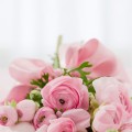 women's accessories